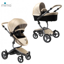 Mima Xari - Graphite Grey / Champagne